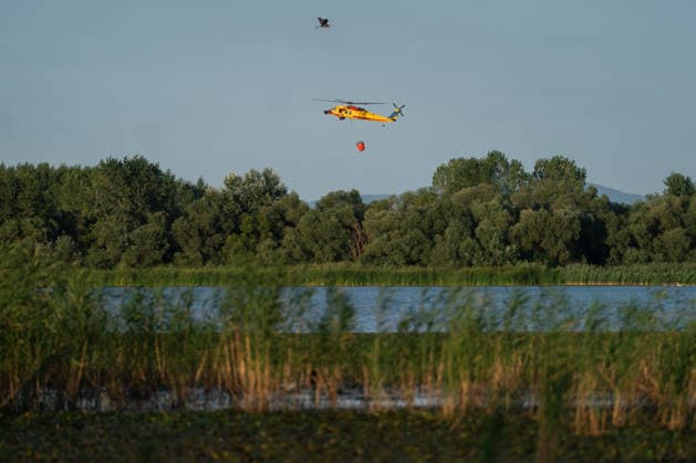 Forest fires in Serbia