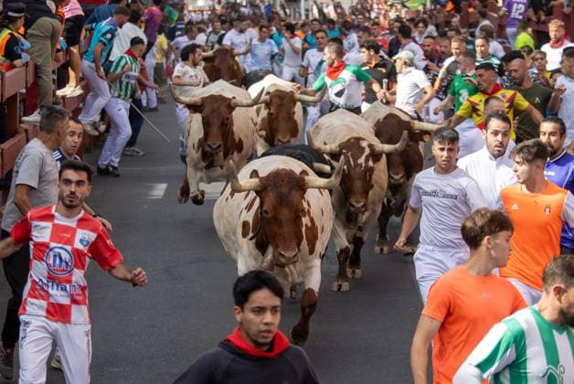 Spain, bull run in San Sebastián de los Reyes