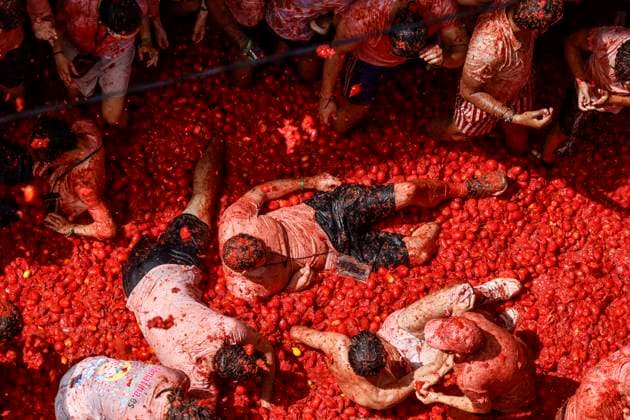 Spain, the Tomatina Festival in Buñol