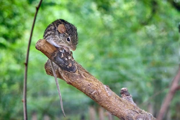 Thuringia: Impressions from Eisenberg Zoo