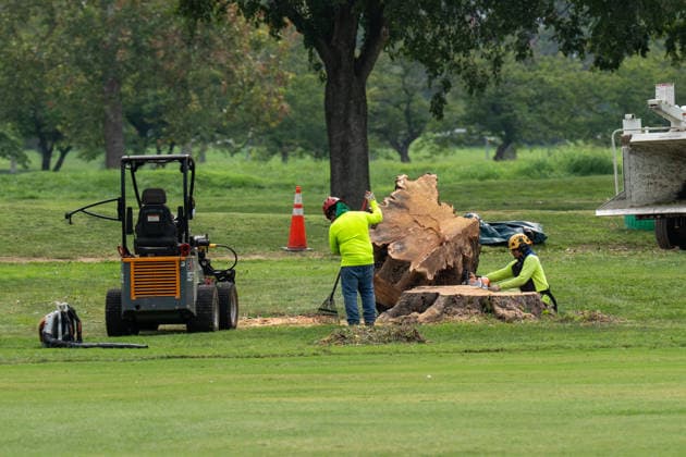 USA, Work at the East Potomac Golf Course in Washington DC