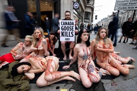 London, PETA activists protest in front of branch of Canada Goose