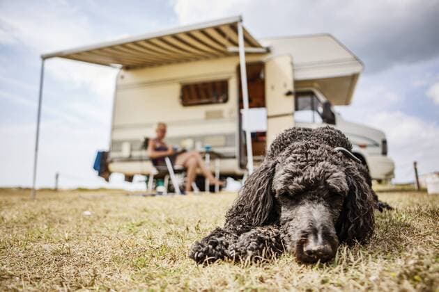 IMAGO Creative, Summer, Camping, In a camper van