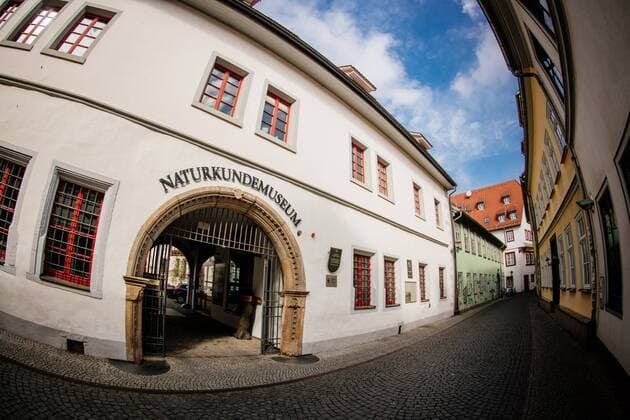 Travel, Museums, Germany, Natural History Museum in Erfurt