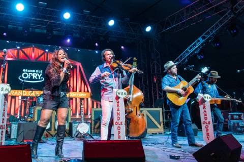 Bonnaroo Music and Arts Festival in Manchester, Tennessee USA