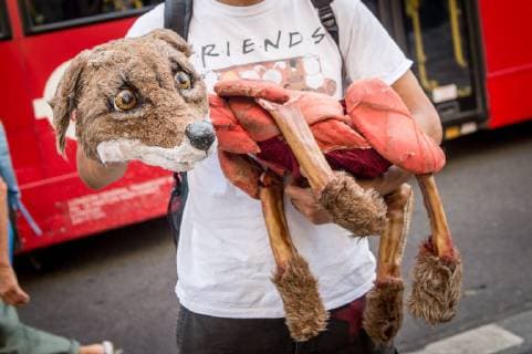 London, PETA protest in front of branch of Canada Goose