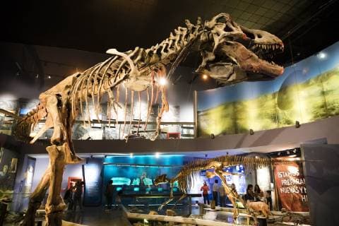 Mexico, Desert Museum in Saltillo