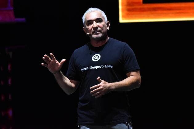 Cesar Millan Show in Mexico