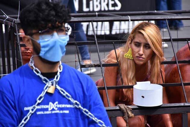 Mexico, animal rights activists protest on World Animal Day in Mexico City