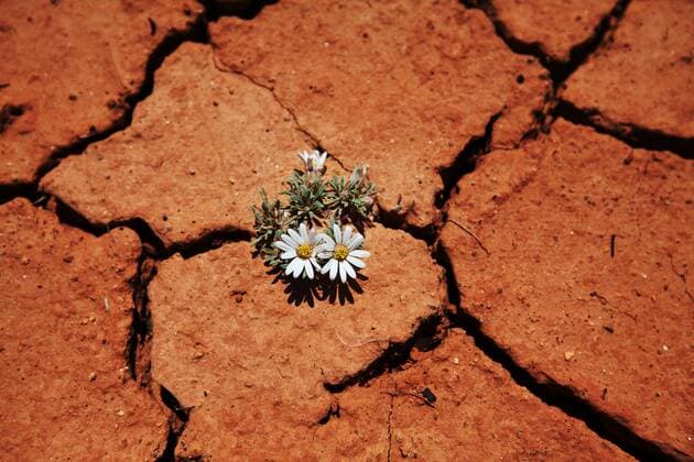 World Soil Day on 5 December