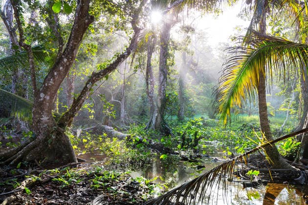 IMAGO Nature: Our Earth, nature conservation, Protected areas in South America