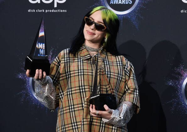 American Music Awards in Los Angeles - the prizewinners