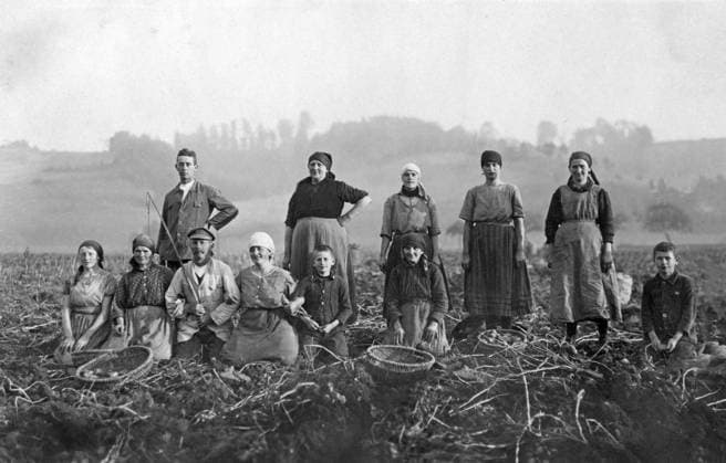 IMAGO History, Archive, Nazism, Blood and soil, German agriculture in the 1930s