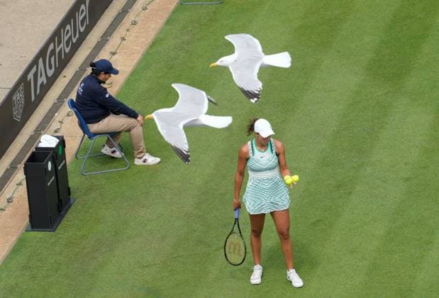 Sport Bilder des Tages Mandatory Credit: Photo by Dave Shopland Shutterstock (13984806a) Sea Gulls fly over Madison Keys in Ladies Singles Final Rothesay International Eastbourne, Tennis, Day Six, Devonshire Park, Eastbourne, UK - 01 Jul 2023 Rothesay International Eastbourne, Tennis, Day Six, Devonshire Park, Eastbourne, UK - 01 Jul 2023 Copyright: xDavexShopland Shutterstockx 13984806a
