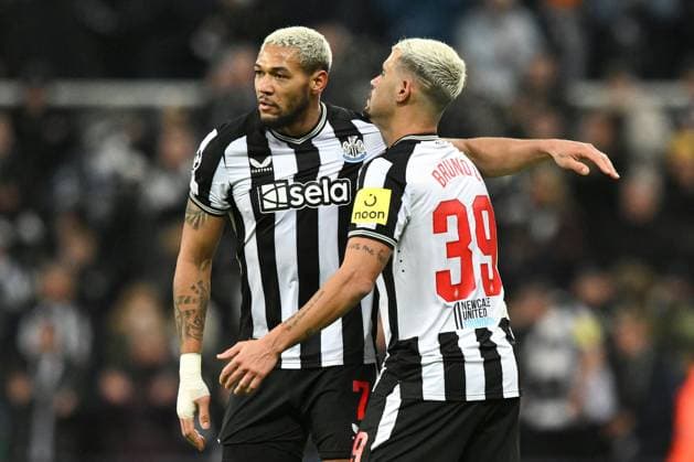 Joelinton of Newcastle United celebrates scoring for their side with Bruno Guimaraes of Newcastle United Newcastle United v AC Milan, UEFA Champions League, Group F, Football, St James Park, Newcastle, UK - 13 Dec 2023 EDITORIAL USE ONLY No use with unauthorised audio, video, data, fixture lists, club league logos or live services. Online in-match use limited to 120 images, no video emulation. No use in betting, games or single club league player publications. Copyright: xRichardxLee Shutterstockx 14254244bj