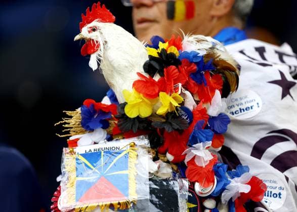 A fan with a Chicken mannequin in the stadium ahead of the game France v Belgium, UEFA European Championship, EM, Europameisterschaft 2024, Round of 16, Football, Dusseldorf Arena, Dusseldorf, Germany - 01 Jul 2024 EDITORIAL USE ONLY No use with unauthorised audio, video, data, fixture lists, club league logos or live services. Online in-match use limited to 120 images, no video emulation. No use in betting, games or single club league player publications. Copyright: xKieranxMcManus Shutterstockx 14566634c