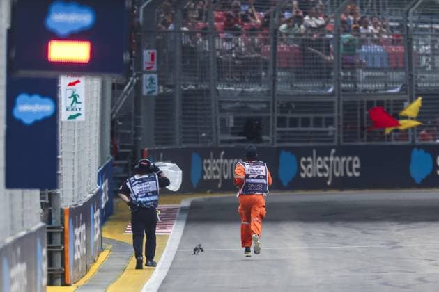Lizard on track, piste, marshall, commissaire de piste, marshal, marshalls, marshals, red flag, drapeau during the Formula 1 Singapore Grand Prix 2024, 18th round of the 2024 Formula One World Championship, WM, Weltmeisterschaft from September 20 to 22, 2024 on the Marina Bay Circuit, in Singapore, Singapore - F1 - SINGAPORE GRAND PRIX 2024 DPPI Panoramic 240921_R18_SINGAPORE_DP_FGDN7789