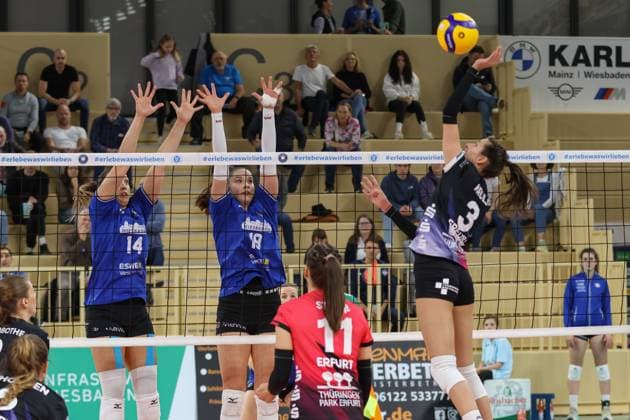 26 10 2024, xusrbx, Volleyball 1 Bundesliga Damen, VC Wiesbaden Schwarz Weiß Erfurt emspor, v l Jonna Wasserfaller VC Wiesbaden, 14 , Greta Kiss VC Wiesbaden, 19 , Ana Krulj Schwarz Weiss Erfurt, 3 , Zoe Welz Schwarz Weiss Erfurt, 11 , DFL DFB REGULATIONS PROHIBIT ANY USE OF PHOTOGRAPHS as IMAGE SEQUENCES and or QUASI VIDEO Wiesbaden