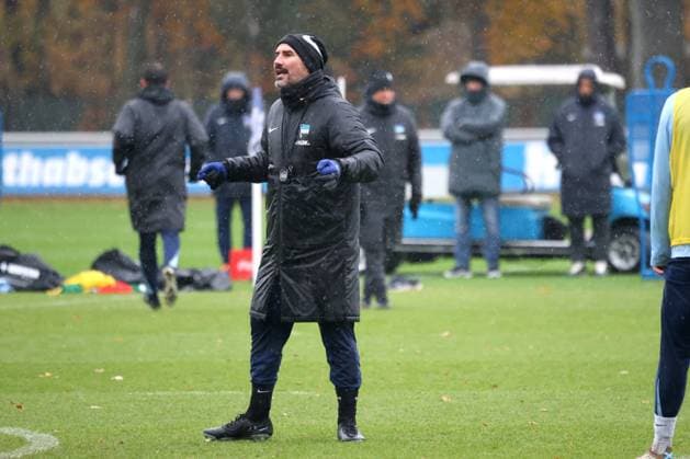 DEU, DFL, 2 FBL Hertha BSC, Training, 19 11 2024, Sportforum, Berlin, DEU, DFL, 2 FBL Hertha BSC, Training, in the picture head coach Cristian Fiel Hertha BSC Berlin DFL regulations prohibit any use of Photographs as image sequences and or quasi video Foto Juergen Engler nordphoto GmbH nordphotoxGmbHx xEngler nph00076
