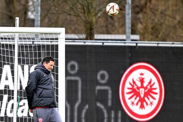 Dino Toppmoeller Eintracht Frankfurt, Coach at header, GER, Final training, Eintracht Frankfurt, Football, UEFA Europa League, Matchday 8, Season 2024 25, 29 01 2025 GER, Final training, Eintracht Frankfurt, Football, UEFA Europa League, Matchday 8, Season 2024 25, 29 01 2025 Frankfurt am Main Copyright: xEibner-Pressefoto FlorianxWiegandx EP_FWD