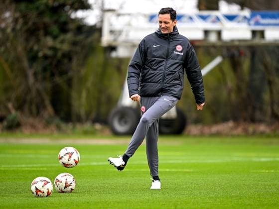 Dino Toppmoeller Eintracht Frankfurt, Coach on the ball, GER, Final training, Eintracht Frankfurt, Football, UEFA Europa League, Matchday 8, Season 2024 25, 29 01 2025 GER, Final training, Eintracht Frankfurt, Football, UEFA Europa League, Matchday 8, Season 2024 25, 29 01 2025 Frankfurt am Main Copyright: xEibner-Pressefoto FlorianxWiegandx EP_FWD
