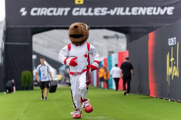 Mascot Marmot F1 Canada Grand Prix CAN, Formula 1 World Championship, Canadian Grand Prix, Circuit Gilles Villeneuve, Free Practice 1, 2025 season, 13 06 2025 CAN, Formula 1 World Championship, Canadian Grand Prix, Circuit Gilles Villeneuve, Free Practice 1, 2025 season, 13 06 2025 Montreal Copyright: xEibner-Pressefoto MarcelxFischerx EP_MFI
