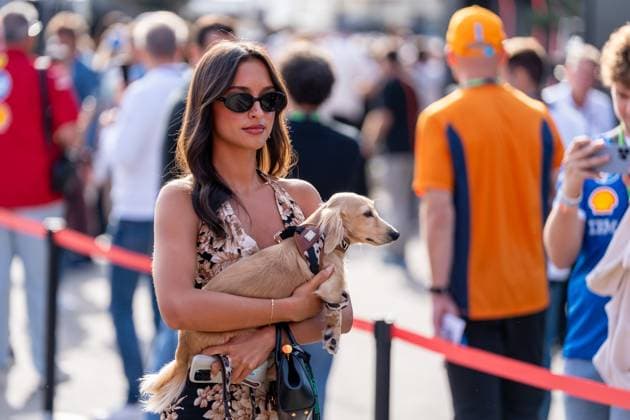 Alexandra Saint Mleux girlfriend of Charles Leclerc , ITA, Formula 1 World Championship, Italian Grand Prix, Autodromo Nazionale Monza, Race Day, 2025 season, 07 09 2025 ITA, Formula 1 World Championship, Italian Grand Prix, Autodromo Nazionale Monza, Race Day, 2025 season, 07 09 2025 Monza Copyright: xEibner-Pressefoto MarcelxFischerx EP_MFI