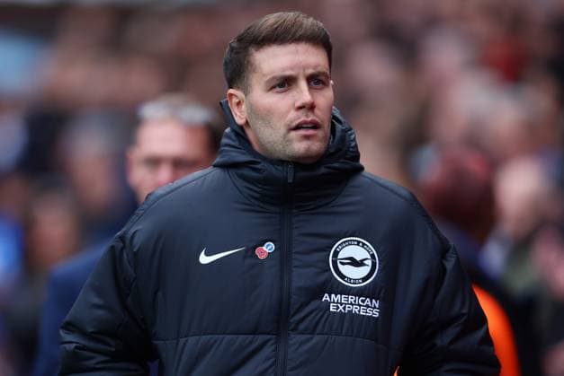 London, England, 9th November 2025. Fabian Hurzeler, Manager of Brighton and Hove Albion during the Crystal Palace vs Brighton and Hove Albion Premier League match at Selhurst Park, London. Picture credit should read: Paul Terry Sportimage EDITORIAL USE ONLY. No use with unauthorised audio, video, data, fixture lists, club league logos or live services. Online in-match use limited to 120 images, no video emulation. No use in betting, games or single club league player publications. SPI_006_PT_Crystal_Palace_Brighton SPI-4277-0006