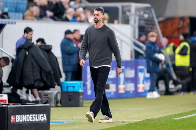 Sandro Wagner coach, head coach, FCA , cropped, full body, single image, single photo, action, action, disappointed about the defeat, disappointment after the final whistle, highlight, loser, lost, frustration, disappointed, pessimistic, 29 11 2025, Sinsheim Germany , football, Bundesliga, TSG 1899 Hoffenheim FC Augsburg, DFB DFL REGULATIONS PROHIBIT ANY USE OF PHOTOGRAPHS AS IMAGE SEQUENCES AND OR QUASI VIDEO xozx
