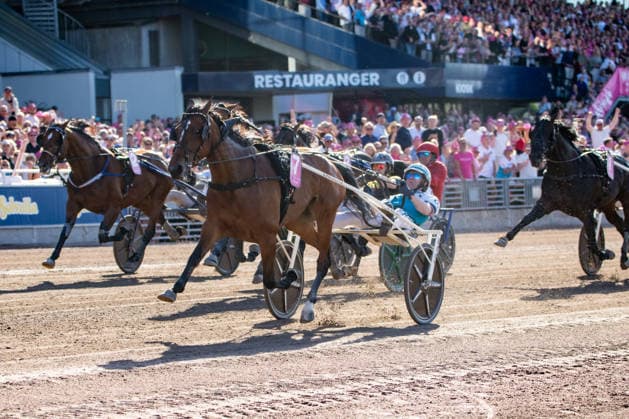 31 05 2026, Allegiant 7 with Örjan Kihlström wins the Elitloppet 2026 Trabrennbahn Mariendorf Allegiant, Örjan Kihlström, Elitloppet 2026, finish, finish, finish, victory Copyright c Marius Schwarz, photographer,Mobil 0049 0 176 28 311 040, Web www traberpixx de, e mail info@traberpixx de,NO MODEL RELEASE if the photo is used for purposes other than journalism, please contact us in advance Photo is subject to a fee