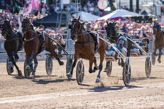 31 05 2026, Allegiant 7 with Örjan Kihlström wins the Elitloppet 2026 Trabrennbahn Mariendorf Allegiant, Örjan Kihlström, Elitloppet 2026, finish, finish, finish, victory Copyright c Marius Schwarz, photographer,Mobil 0049 0 176 28 311 040, Web www traberpixx de, e mail info@traberpixx de,NO MODEL RELEASE if the photo is used for purposes other than journalism, please contact us in advance Photo is subject to a fee