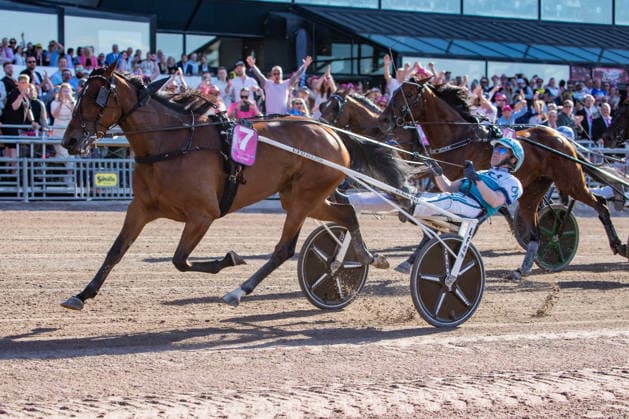 31 05 2026, Allegiant 7 with Örjan Kihlström wins the Elitloppet 2026 Trabrennbahn Mariendorf Allegiant, Örjan Kihlström, Elitloppet 2026, finish, finish, finish, victory Copyright c Marius Schwarz, photographer,Mobil 0049 0 176 28 311 040, Web www traberpixx de, e mail info@traberpixx de,NO MODEL RELEASE if the photo is used for purposes other than journalism, please contact us in advance Photo is subject to a fee