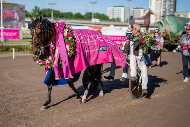 31 05 2026, award ceremony Allegiant 7 with Örjan Kihlström wins the Elitloppet 2026 Trabrennbahn Mariendorf Allegiant, Örjan Kihlström, Elitloppet 2026, victory, winner, award ceremony Copyright c Marius Schwarz, photographer,Mobil 0049 0 176 28 311 040, Web www traberpixx de, e mail info@traberpixx de,NO MODEL RELEASE if the photo is used for purposes other than journalism, please contact us for a fee Photo is subject to a fee