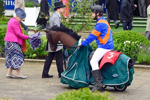 06 06 2026, Epsom, Surrey, GBR A man dressed as a jockey sits on a bicycle that looks like a horse Epsom Downs racecourse horse, jockey, man, spectator, visitor, audience, dressed up, disguise, bicycle, funny, witty, joke, humor 260606C705EPSOM JPG