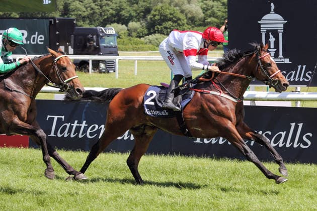 07 06 2026, Iffezheim, Baden Wuerttemberg, GER Alleno with Sibylle Vogt wins the Grand Prix of Tattersalls racecourse Baden Baden, Iffezheim horse, jockey, Alleno, Vogt, victory, finish, finish 260607B987IFFEZHEIM JPG