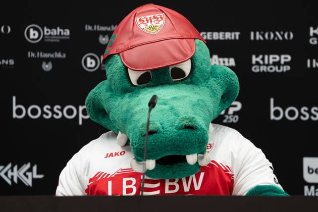 Interview with Fritzle from VfB Stuttgart, Pierre Hugues Herbert vs Martin Landaluce, Tennis, ATP Tournament, Boss Open, Center Court, sixteenth final, 08 06 2026, Pierre Hugues Herbert vs Martin Landaluce, Tennis, ATP Tournament, Boss Open, Center Court, sixteenth final, 08 06 2026, Stuttgart Copyright: xEibner-Pressefoto EdwardxCheungx EP_ECG