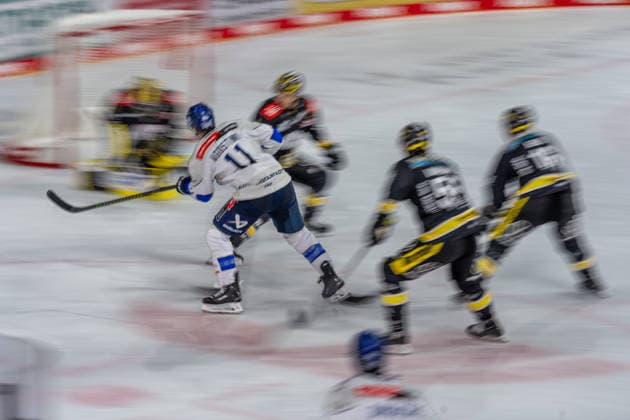 Shot on goal by Kenny Agostino, ERC Ingolstadt, 11, GER, Krefeld Pinguine vs. ERC Ingolstadt, ice hockey, PENNY DEL, Matchday 5, 2026–2027 season, October 2, 2026, GER, Krefeld Pinguine vs. ERC Ingolstadt, Ice Hockey, PENNY DEL, Matchday 5, 2026–2027 season, October 2, 2026, Krefeld Copyright: xEibner-Pressefoto FabianxFriesex EP_FFE