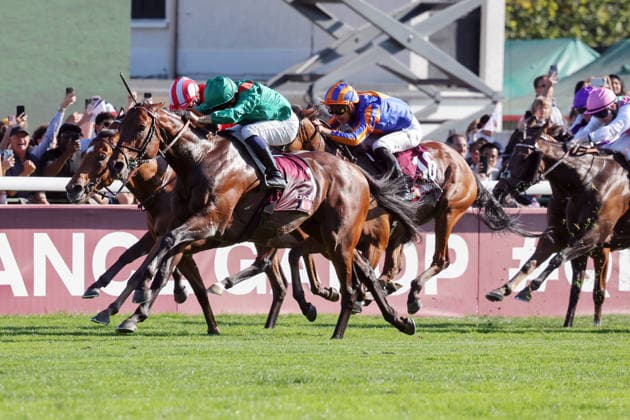 October 4, 2026, Longchamp, Paris, FRA: Daryz, ridden by Mickael Barzalona, wins the Qatar Prix de l’Arc de Triomphe at the ParisLongchamp racetrack. Horse, Jockey, Daryz, Barzalona, Victory, Finish, Finish Line 261004D540LONGCHAMP JPG