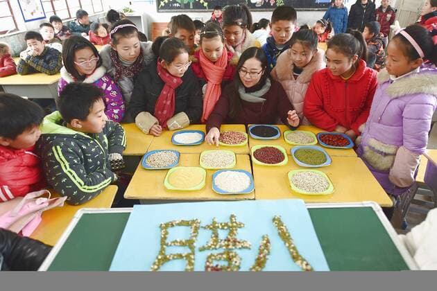 January 4, 2017 - Lianyungang, Lianyungang, China - Lianyungang, CHINA-January 4 2017: (EDITORIAL USE ONLY. CHINA OUT)..Pupils learn to recognize five kinds of cereals under the guidance of teacher at a primary school in Donghai County, Lianyungang City,east China s Jiangsu Province, January 4th, 2017, celebrating the Laba Rice Porridge Festival which falls on January 5th this year. The Laba Rice Porridge Festival is a traditional Chinese festival falls on the 8th day of the 12th month of lunar calendar. It s customary on this day to drink the special porridge, usually stewed of at least eight ingredients. With rice as the main ingredient, this porridge may well contain ingredients like broad beans, red beans, mung beans, red dates, peanuts, chest nuts, both tasty and nutritious. Lianyungang China - ZUMAs145 20170104_zaa_s145_182