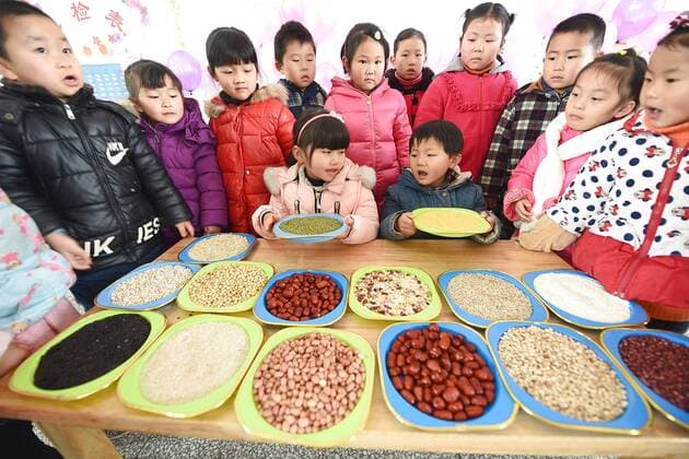 January 4, 2017 - Lianyungang, Lianyungang, China - Lianyungang, CHINA-January 4 2017: (EDITORIAL USE ONLY. CHINA OUT)..Pupils learn to recognize five kinds of cereals under the guidance of teacher at a primary school in Donghai County, Lianyungang City,east China s Jiangsu Province, January 4th, 2017, celebrating the Laba Rice Porridge Festival which falls on January 5th this year. The Laba Rice Porridge Festival is a traditional Chinese festival falls on the 8th day of the 12th month of lunar calendar. It s customary on this day to drink the special porridge, usually stewed of at least eight ingredients. With rice as the main ingredient, this porridge may well contain ingredients like broad beans, red beans, mung beans, red dates, peanuts, chest nuts, both tasty and nutritious. Lianyungang China - ZUMAs145 20170104_zaa_s145_190
