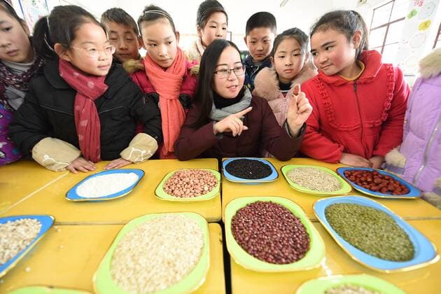 January 4, 2017 - Lianyungang, Lianyungang, China - Lianyungang, CHINA-January 4 2017: (EDITORIAL USE ONLY. CHINA OUT)..Pupils learn to recognize five kinds of cereals under the guidance of teacher at a primary school in Donghai County, Lianyungang City,east China s Jiangsu Province, January 4th, 2017, celebrating the Laba Rice Porridge Festival which falls on January 5th this year. The Laba Rice Porridge Festival is a traditional Chinese festival falls on the 8th day of the 12th month of lunar calendar. It s customary on this day to drink the special porridge, usually stewed of at least eight ingredients. With rice as the main ingredient, this porridge may well contain ingredients like broad beans, red beans, mung beans, red dates, peanuts, chest nuts, both tasty and nutritious. Lianyungang China - ZUMAs145 20170104_zaa_s145_197