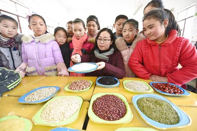 January 4, 2017 - Lianyungang, Lianyungang, China - Lianyungang, CHINA-January 4 2017: (EDITORIAL USE ONLY. CHINA OUT)..Pupils learn to recognize five kinds of cereals under the guidance of teacher at a primary school in Donghai County, Lianyungang City,east China s Jiangsu Province, January 4th, 2017, celebrating the Laba Rice Porridge Festival which falls on January 5th this year. The Laba Rice Porridge Festival is a traditional Chinese festival falls on the 8th day of the 12th month of lunar calendar. It s customary on this day to drink the special porridge, usually stewed of at least eight ingredients. With rice as the main ingredient, this porridge may well contain ingredients like broad beans, red beans, mung beans, red dates, peanuts, chest nuts, both tasty and nutritious. Lianyungang China - ZUMAs145 20170104_zaa_s145_198