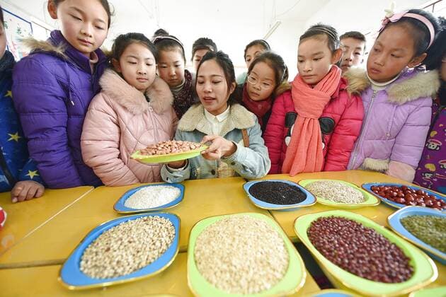 January 4, 2017 - Lianyungang, Lianyungang, China - Lianyungang, CHINA-January 4 2017: (EDITORIAL USE ONLY. CHINA OUT)..Pupils learn to recognize five kinds of cereals under the guidance of teacher at a primary school in Donghai County, Lianyungang City,east China s Jiangsu Province, January 4th, 2017, celebrating the Laba Rice Porridge Festival which falls on January 5th this year. The Laba Rice Porridge Festival is a traditional Chinese festival falls on the 8th day of the 12th month of lunar calendar. It s customary on this day to drink the special porridge, usually stewed of at least eight ingredients. With rice as the main ingredient, this porridge may well contain ingredients like broad beans, red beans, mung beans, red dates, peanuts, chest nuts, both tasty and nutritious. Lianyungang China - ZUMAs145 20170104_zaa_s145_199