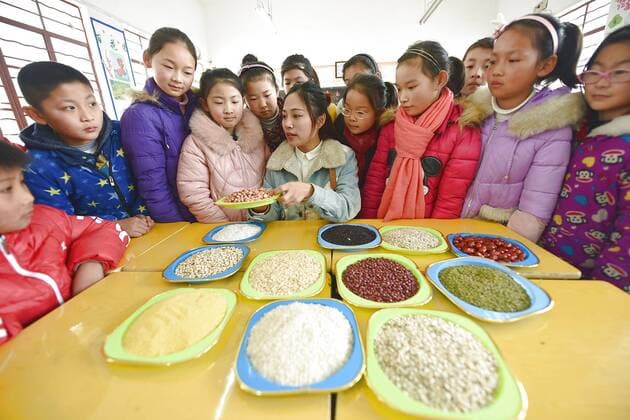 January 4, 2017 - Lianyungang, Lianyungang, China - Lianyungang, CHINA-January 4 2017: (EDITORIAL USE ONLY. CHINA OUT)..Pupils learn to recognize five kinds of cereals under the guidance of teacher at a primary school in Donghai County, Lianyungang City,east China s Jiangsu Province, January 4th, 2017, celebrating the Laba Rice Porridge Festival which falls on January 5th this year. The Laba Rice Porridge Festival is a traditional Chinese festival falls on the 8th day of the 12th month of lunar calendar. It s customary on this day to drink the special porridge, usually stewed of at least eight ingredients. With rice as the main ingredient, this porridge may well contain ingredients like broad beans, red beans, mung beans, red dates, peanuts, chest nuts, both tasty and nutritious. Lianyungang China - ZUMAs145 20170104_zaa_s145_200