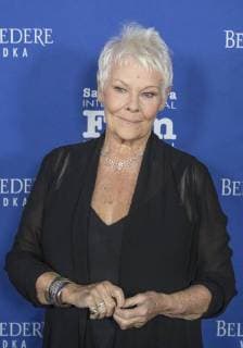 November 30, 2017 - Santa Barbara, California, USA - Academy Award winner DAME JUDI DENCH on the red carpet before being honored with the 12th annual Kirk Douglas Award for Excellence in Film. The award goes to a lifelong contributor to cinema through work in front of the camera, behind, or both. Past honorees include Warren Beatty, Jane Fonda, Jessica Lange, Forest Whitaker, Robert DeNiro, Michael Douglas, Harrison Ford, Quentin Tarantino, Ed Harris, and John Travolta. Proceeds from the black-tie event support the Santa Barbara International Film Festivals education programs. Santa Barbara USA - ZUMAh13_ 20171130_zaf_h13_004 Copyright: xPJxHellerx