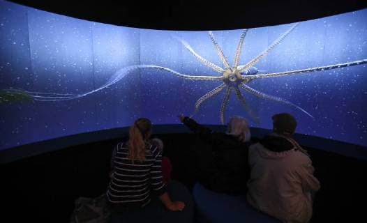 (180315) -- NEW YORK, March 15, 2018 -- Visitors watch film of creatures in deep ocean at the Unseen Oceans exhibition held in the American Museum of Natural History in New York, the United States, March 14, 2018. The exhibition highlights the latest advances in ocean exploration, the researchers and technologies behind them and the mysteries that remain. Visitors can join scientists on their high-tech, high-adventure, and high-impact fieldwork to see and discover beautiful, diverse, and important creatures living at previously unseen ocean layers. ) (djj) U.S.-NEW YORK-UNSEEN OCEANS-EXHIBITION WangxYing