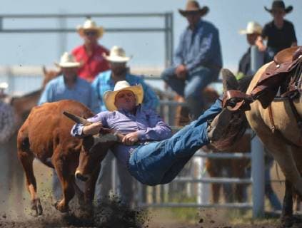 July 28, 2018 - Bonnyville, Alberta, Canada - Steer wrestler, Dustin Walker from Vanscoy, SK, in action during the second day of Bonnyville Pro Rodeo..On Saturday, July 28, 2018, in Bonnyville, Alberta, Canada. Bonnyville Canada - ZUMAn230 20180728_zaa_n230_624 Copyright: xArturxWidakx