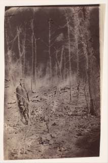 The Wilderness Battlefield, near Spotsylvania, Virginia , 1865 (?), Albumen silver print from glass negative, 12.7 × 7.8 cm (5 in. × 3 1 16 in.), Photographs, Unknown, The Battle of the Wilderness was fought May 5-7, 1864, in the same Virginia forest disputed a year before in the Chancellorsville campaign. When the soldiers took their positions in the woods, the ground was already littered with skulls Copyright: Artokoloro AM170720_053150