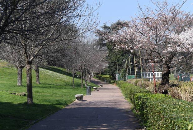 (200321) -- ROME, March 21, 2020 (Xinhua) -- A park is seen in Rome, Italy, March 20, 2020. Italy s Ministry of Health on Friday took the unprecedented step of closing all public parks, gardens and other open spaces, effective from Saturday. The coronavirus pandemic has claimed 4,032 lives in locked down Italy by Friday, with the number of cumulative cases reaching 47,021, according to new data released by the Civil Protection Department. (Photo by Alberto Lingria Xinhua) ITALY-COVID-19-LOCKDOWN
