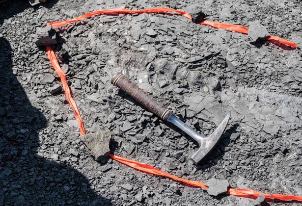 News Bilder des Tages May 11, 2022, Lethbridge, AB, Canada: Technicians from the Royal Tyrell Museum of Palaeontology, are on site preserving a mosasaur fossil, Wednesday, May 11, 2022, found at the KORITE mine south of Lethbridge, Alta. Lethbridge Canada - ZUMAc35_ 20220511_zaf_c35_106 Copyright: xDavidxRossiterx